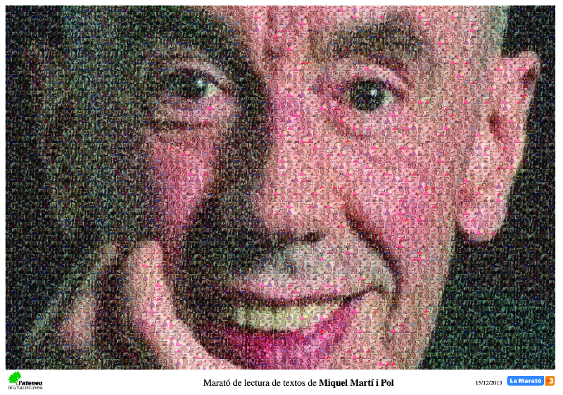 Mosaic Miquel Martí Pol