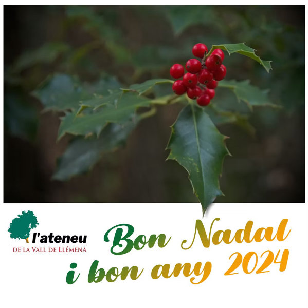 Felicitació Any nou 2024